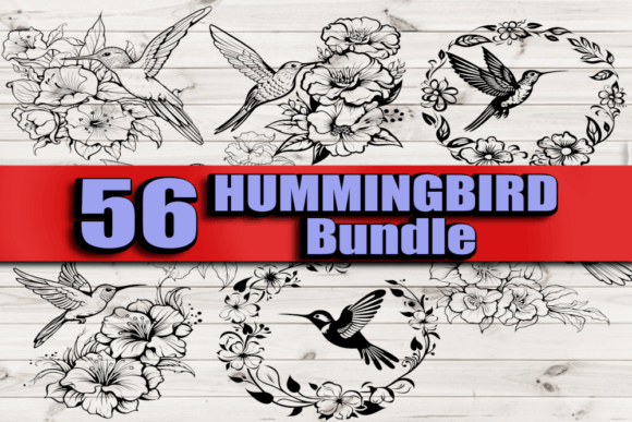 Download Hummingbird Vector Bundle SVG PNG EPS - Png Collection