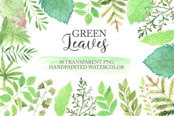 Download Watercolor Greenery Floral Clipart PNG - Png Collection