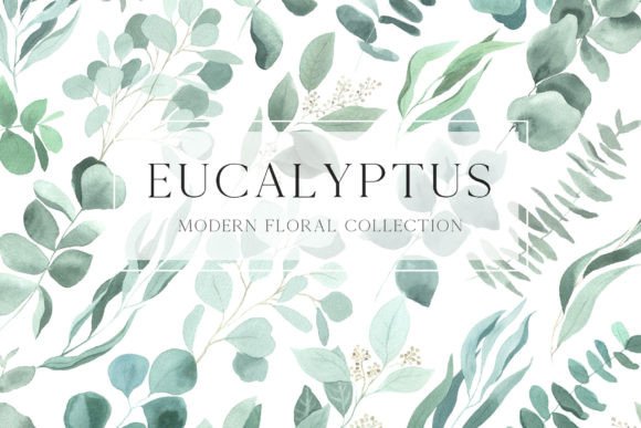 Download Watercolor Eucalyptus Leaves Clipart PNG - Png Collection