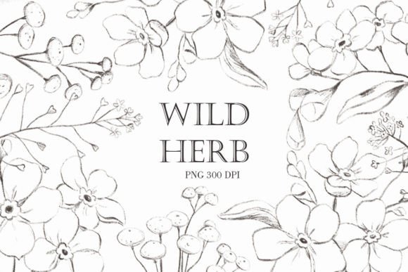 Download Wildflower Png. Vintage Flowers - Png Collection