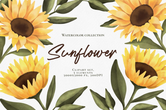 Download Watercolor Sunflower Clipart Set. PNG - Png Collection