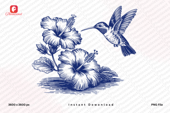 Download Vintage Hibiscus Hummingbird PNG - Png Collection