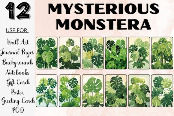 Download Mysterious Monstera Plant PNG Bundle - Png Collection