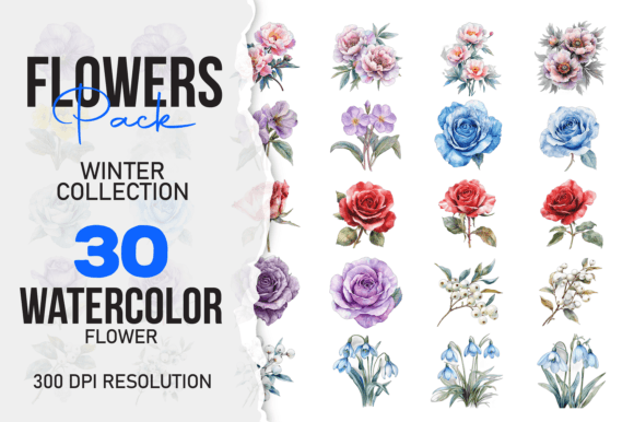 Download Watercolor Winter Flower 30 Pack PNG - Png Collection