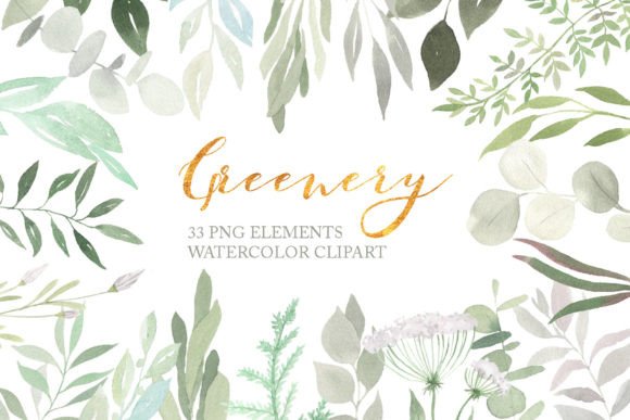 Download Watercolor Greenery Floral Clipart PNG - Png Collection